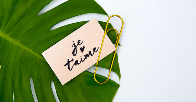 Summer of Stationery