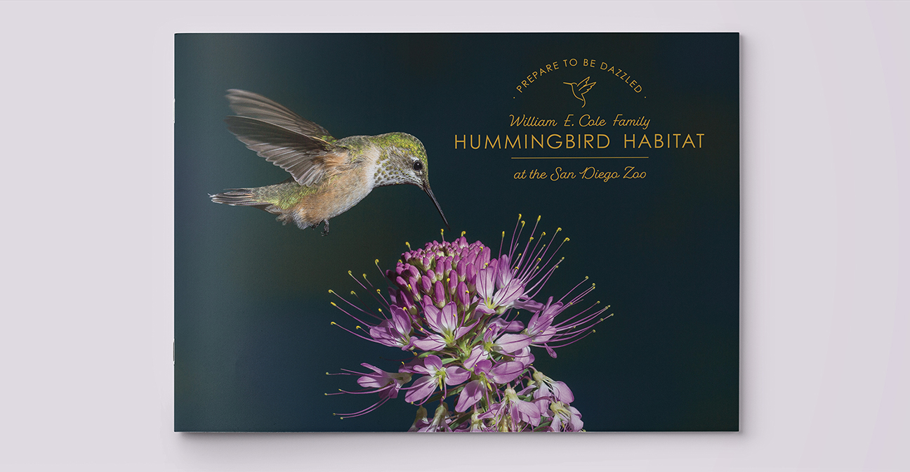San Diego Zoo Global Hummingbird Appeal