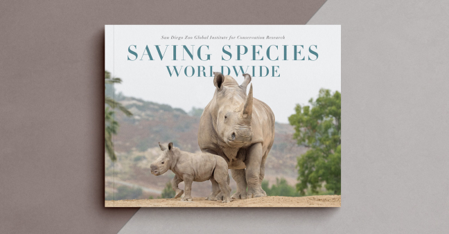 San Diego Zoo Wildlife Alliance Fundraising Campaigns