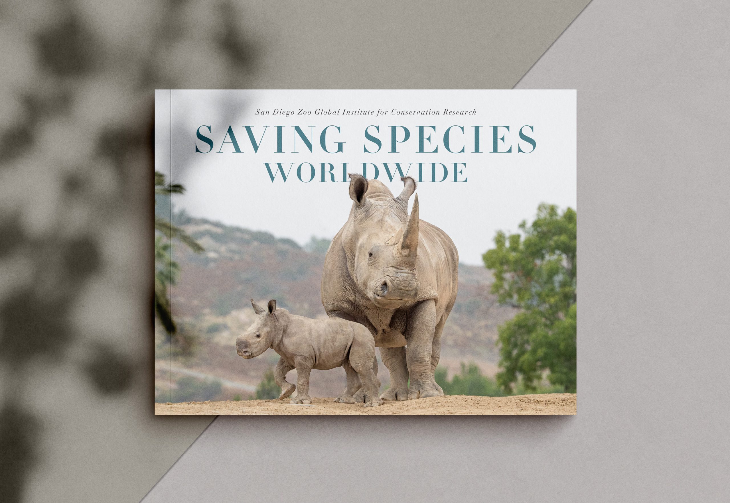 San Diego Zoo Global Institute for Conservation Research: Saving Species Worldwide