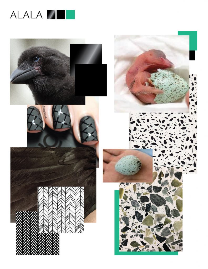 Mood Board For Birds Theme
