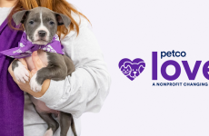 Petco Love Brand Refresh