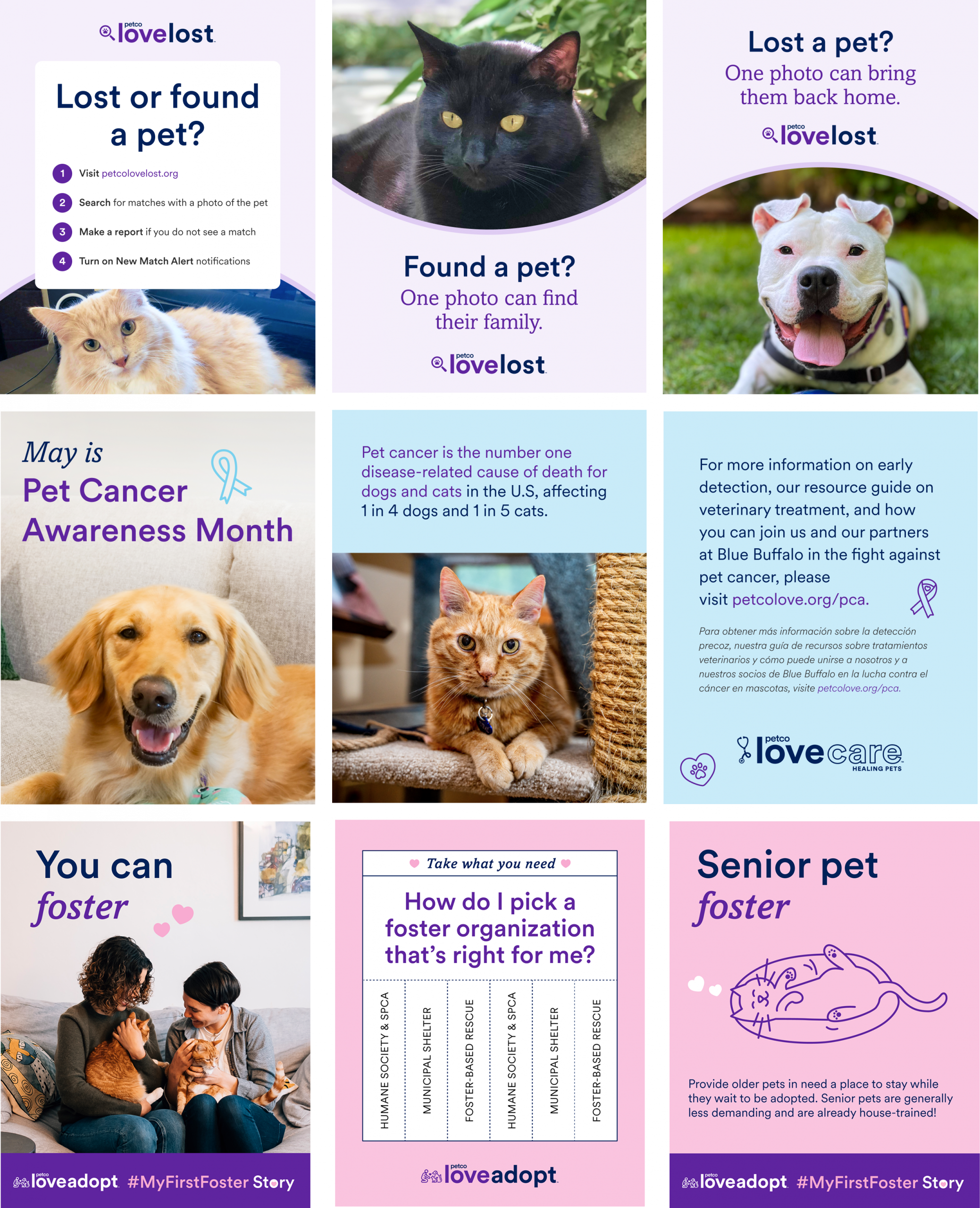 Petco Love Brand Refresh Pillars Social