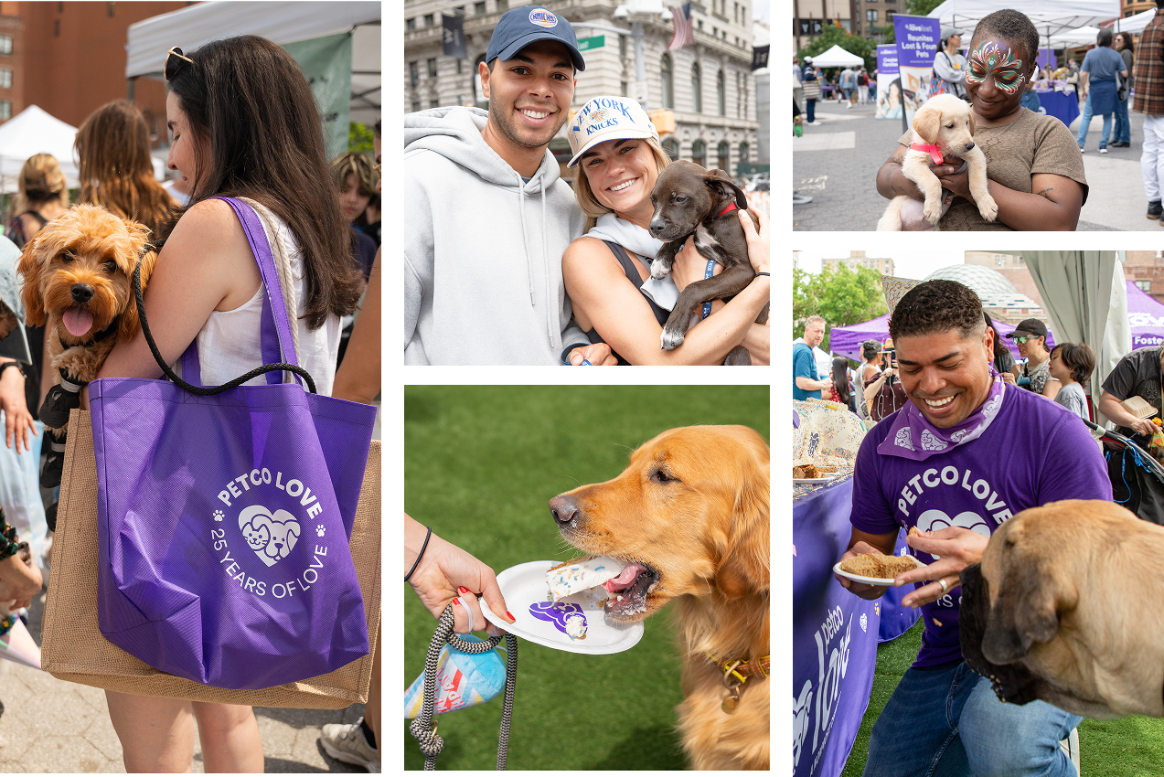 Petco Love Birthday Block Party