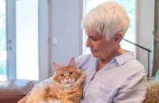 Petco Love Lost Product Marketing