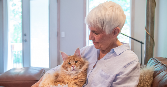 Petco Love Lost Product Marketing